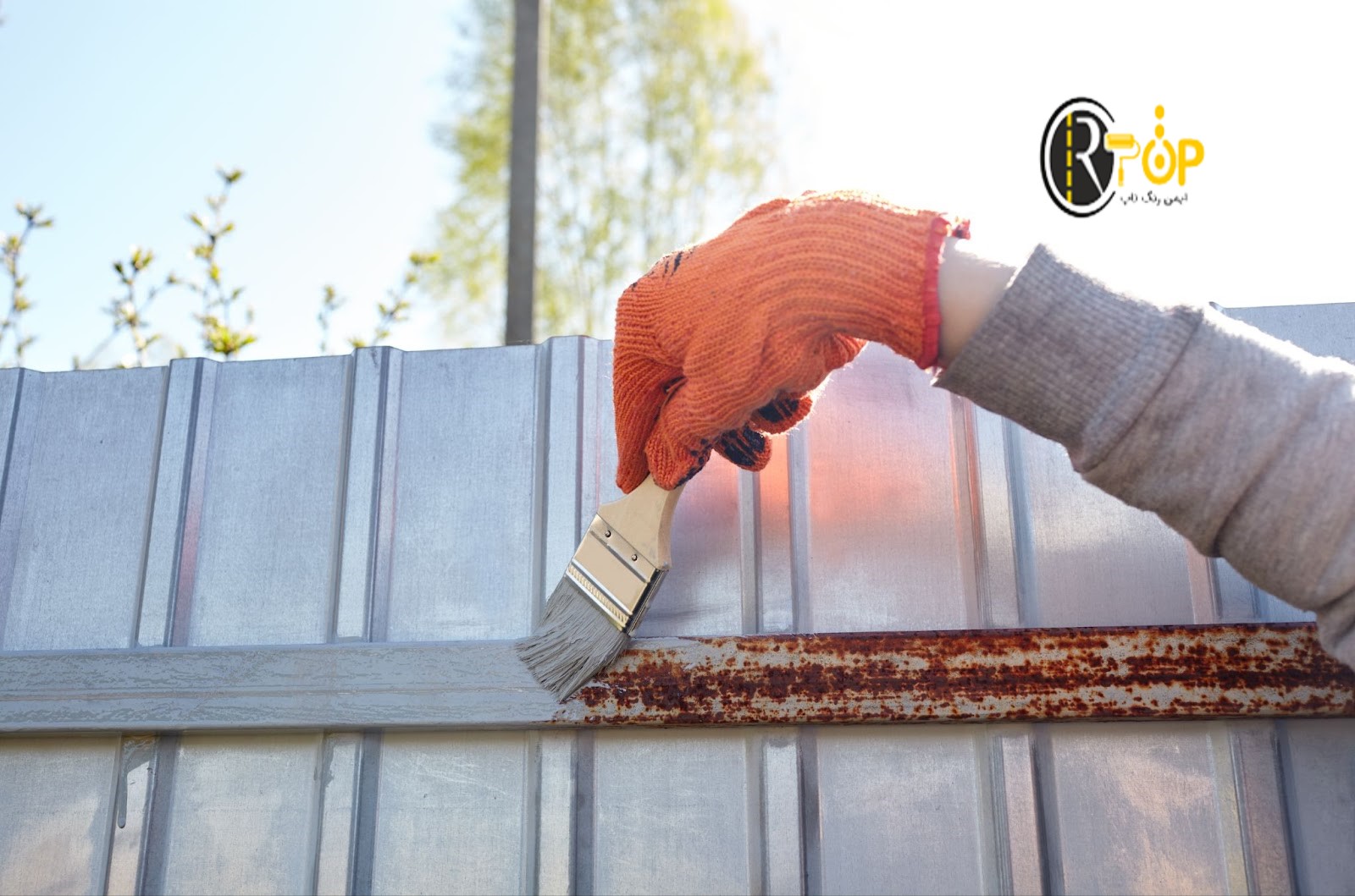 سفارش زینک ریچ